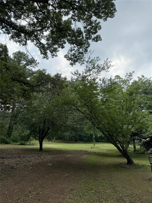 483 County Road 2140, Quitman TX 75783 - Photo 33