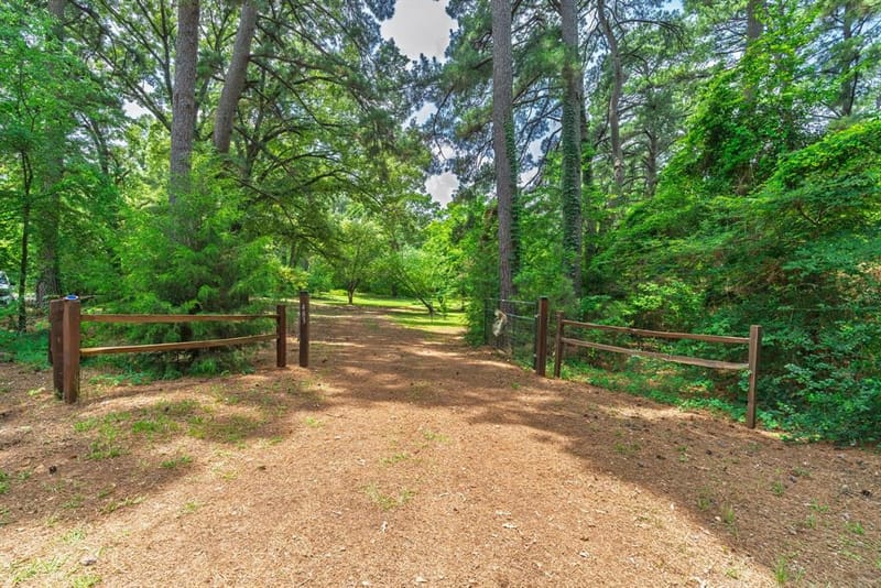 483 County Road 2140, Quitman TX 75783 - Photo 39