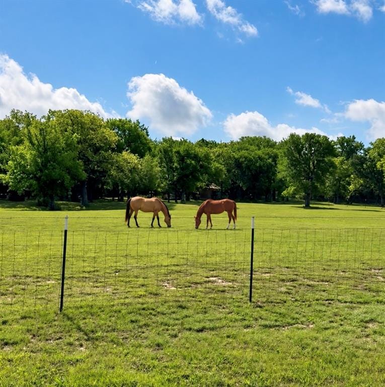 835 Wood Hollow Drive, Weatherford TX 76087 - Photo 33