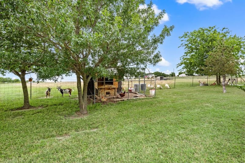 2141 Old Denton Road, Decatur TX 76234 - Photo 35