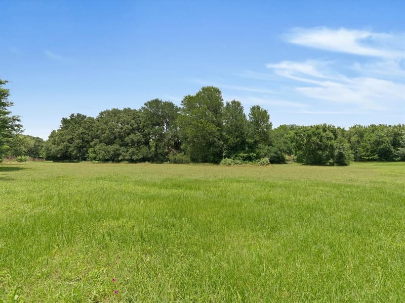850 Newt Patterson Road, Mansfield TX 76063 - Photo 5