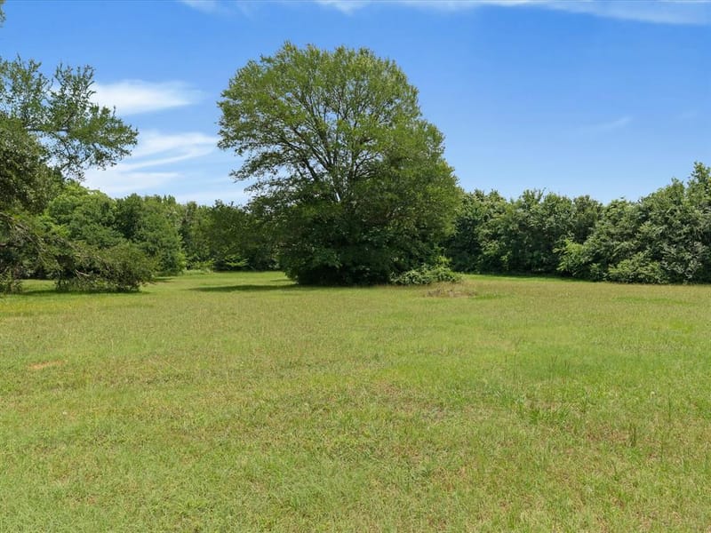 850 Newt Patterson Road, Mansfield TX 76063 - Photo 4