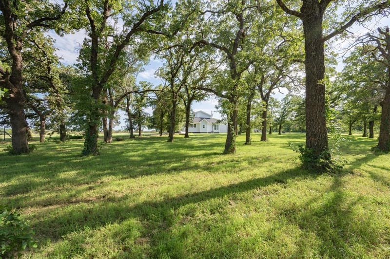 923 Natty Flat Road, Lipan TX 76462 - Photo 32