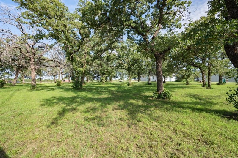 923 Natty Flat Road, Lipan TX 76462 - Photo 33