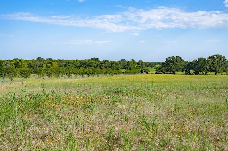 923 Natty Flat Road, Lipan TX 76462 - Photo 37