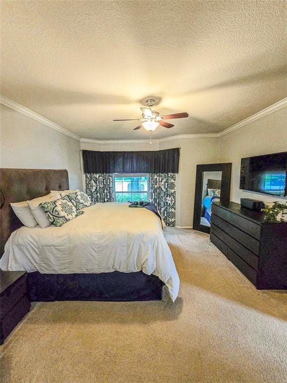 6846 Winston Drive, Frisco TX 75035 - Photo 15