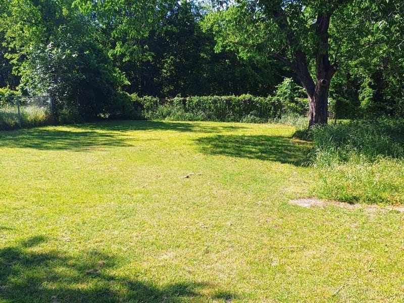 612 W 16th Avenue, Corsicana TX 75110 - Photo 2