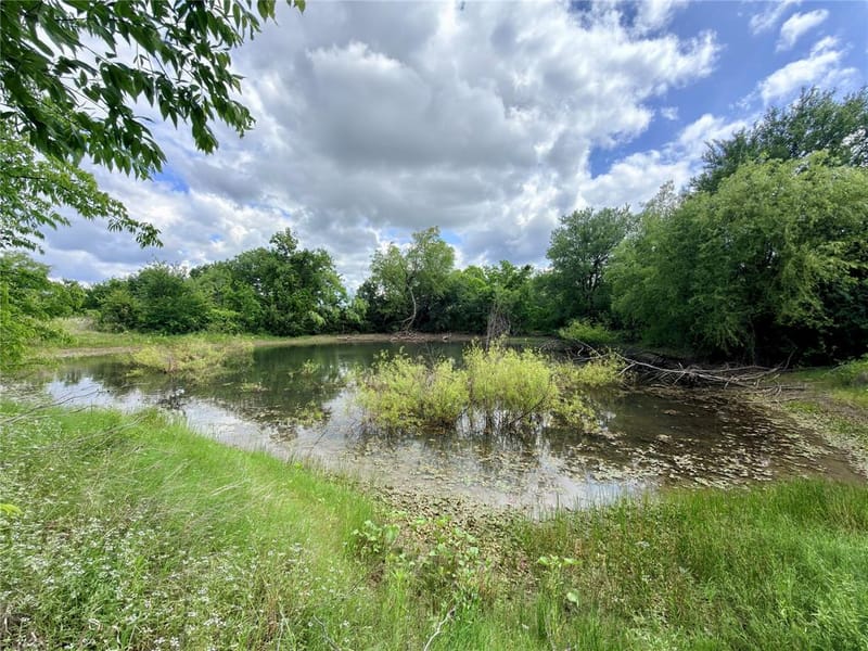 9326 NW County Road 1343, Blooming Grove TX 76626 - Photo 35