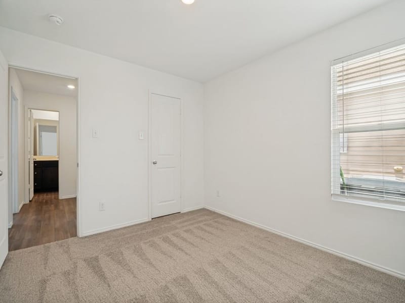 5733 Barbaro Drive, Forney TX 75126 - Photo 15