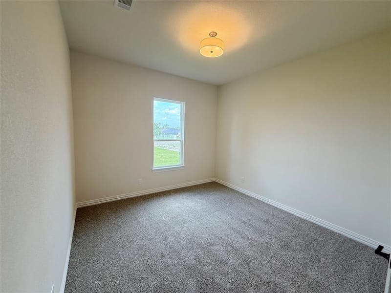 204 Slimp Bluff, Azle TX 76020 - Photo 17