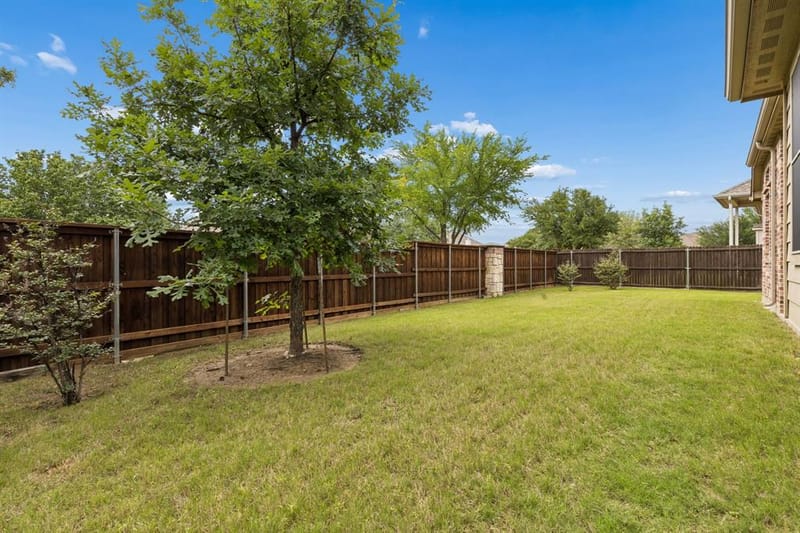 2927 Lakefield Drive, Little Elm TX 75068 - Photo 24