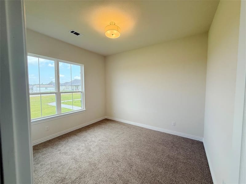 208 Slimp Bluff, Azle TX 76020 - Photo 20