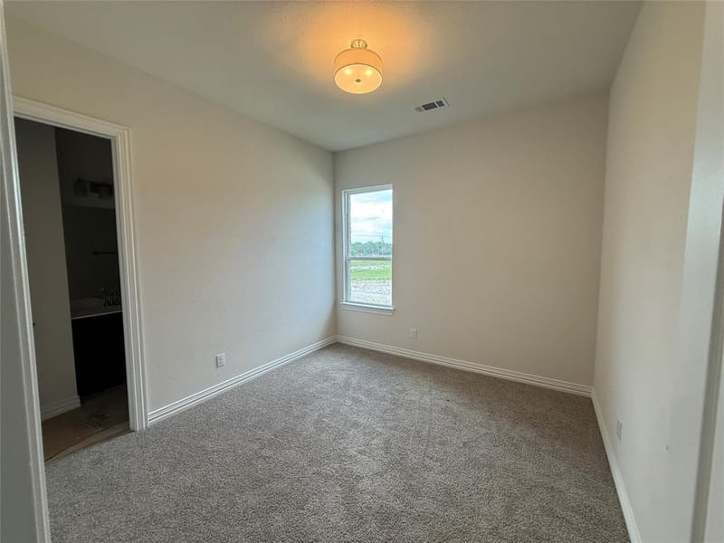 208 Slimp Bluff, Azle TX 76020 - Photo 19