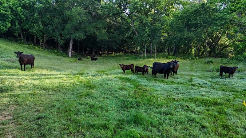 TBD County Road 1591, Alvord TX 76225 - Photo 32