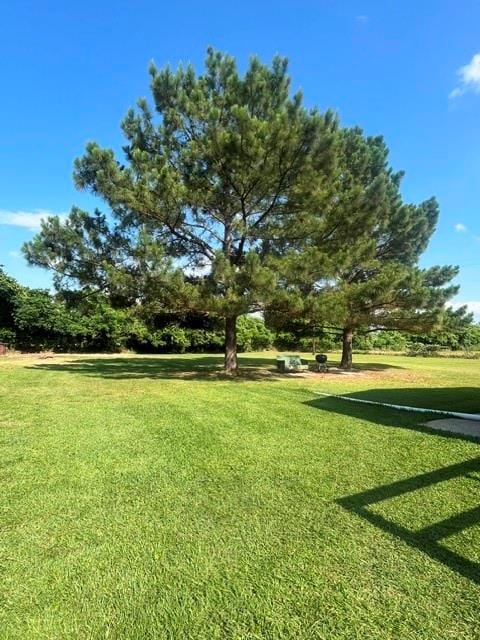 10970 County Road 4020, Kemp TX 75143 - Photo 5