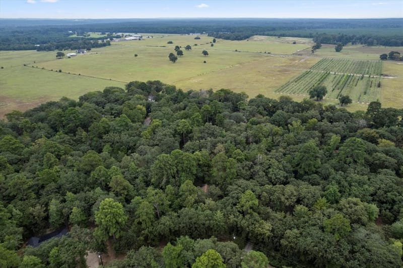 177 Woodfern Glen, Holly Lake Ranch TX 75765 - Photo 28