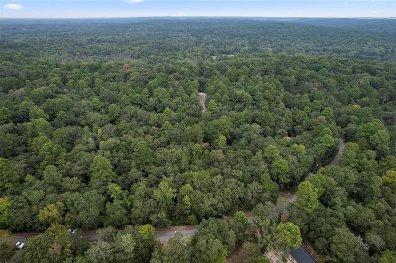 177 Woodfern Glen, Holly Lake Ranch TX 75765 - Photo 29