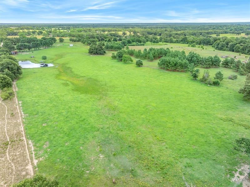 132 Private Road 7105, Edgewood TX 75117 - Photo 6