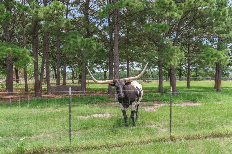 132 Private Road 7105, Edgewood TX 75117 - Photo 7
