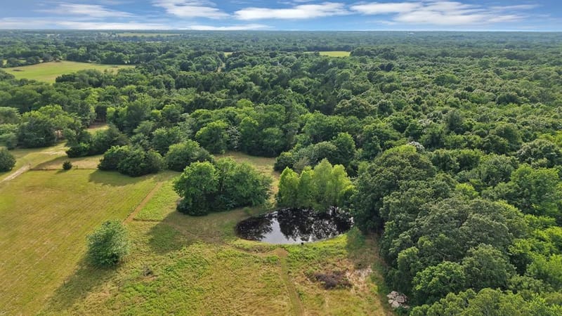 420 County Road 1130, Cumby TX 75433 - Photo 29
