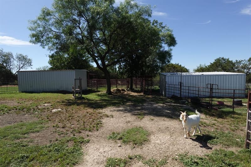 30495 State Highway 6, Hico TX 76457 - Photo 27