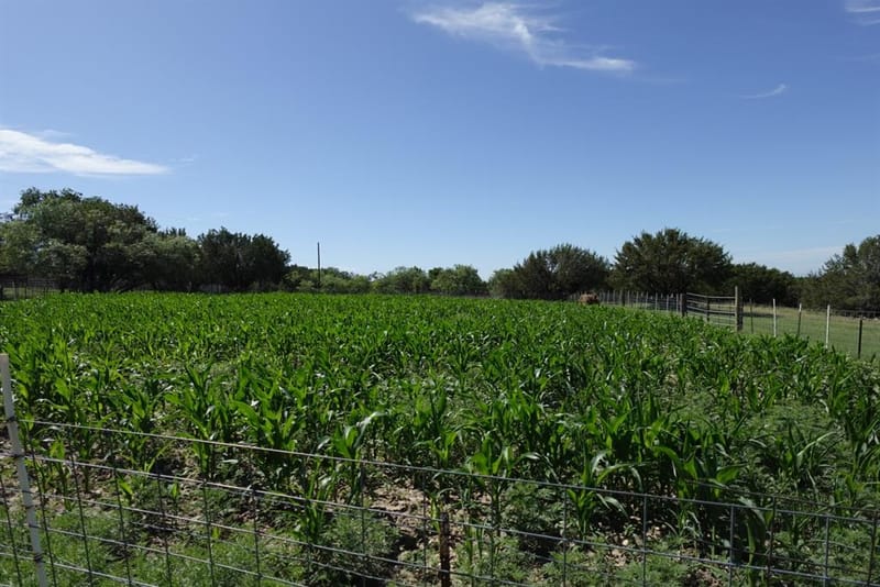 30495 State Highway 6, Hico TX 76457 - Photo 22