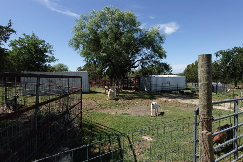 30495 State Highway 6, Hico TX 76457 - Photo 28