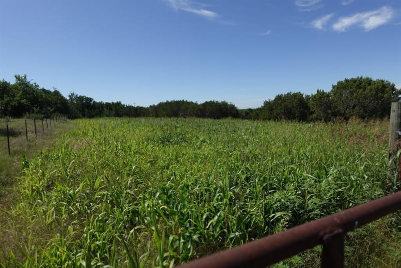 30495 State Highway 6, Hico TX 76457 - Photo 20