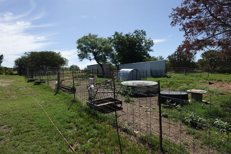 30495 State Highway 6, Hico TX 76457 - Photo 24