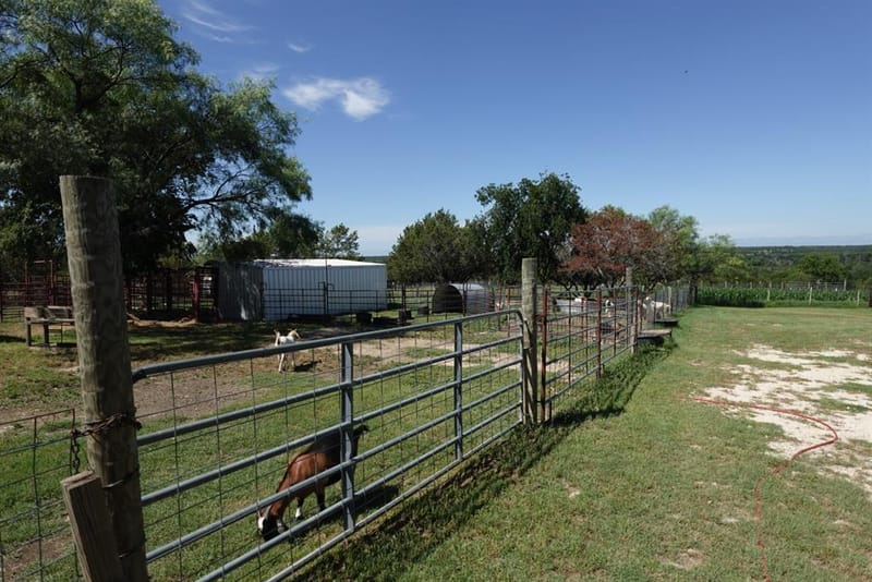 30495 State Highway 6, Hico TX 76457 - Photo 29
