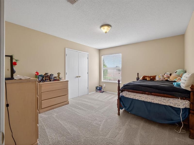 2405 Chestnut Drive, Little Elm TX 75068 - Photo 23