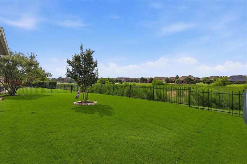 349 Balboa Court, Frisco TX 75036 - Photo 23