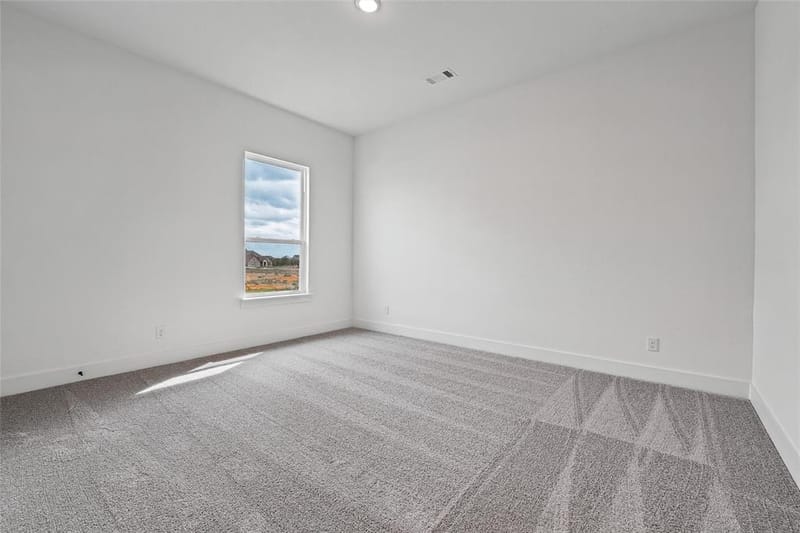 12417 Hornfels Drive, Krum TX 76249 - Photo 21