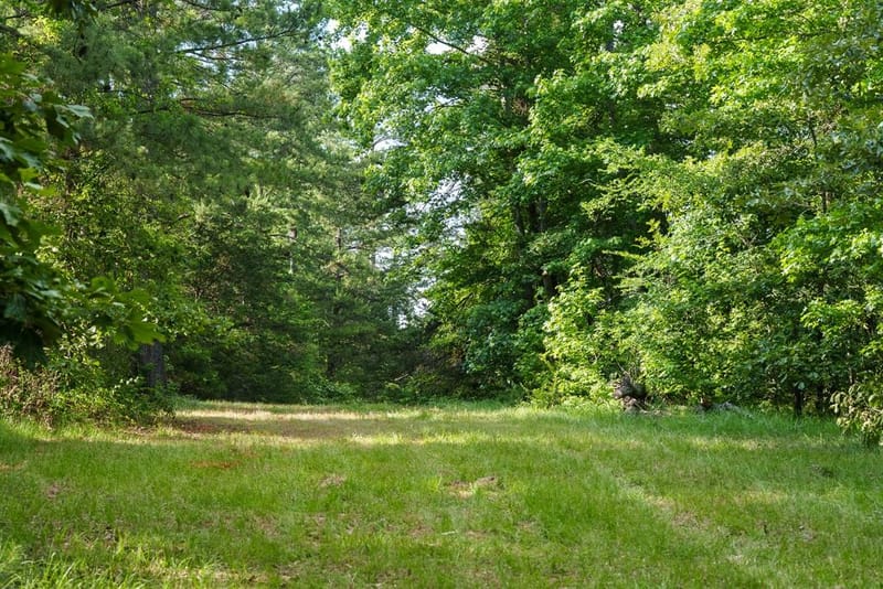 22924 County Road 223, Arp TX 75750 - Photo 6