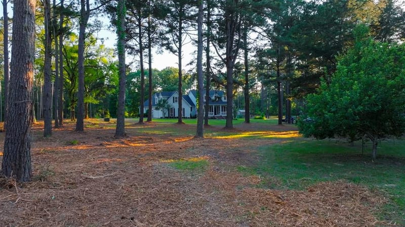 22924 County Road 223, Arp TX 75750 - Photo 13