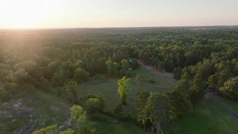 22924 County Road 223, Arp TX 75750 - Photo 16