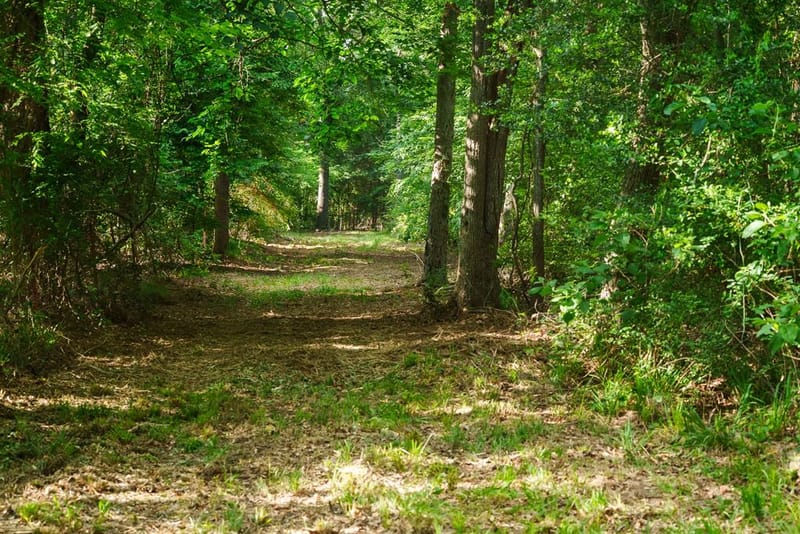22924 County Road 223, Arp TX 75750 - Photo 7