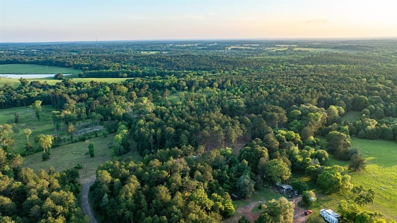 22924 County Road 223, Arp TX 75750 - Photo 5