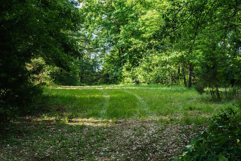 22924 County Road 223, Arp TX 75750 - Photo 9