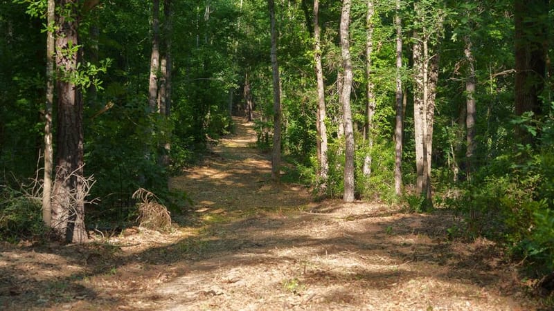 22924 County Road 223, Arp TX 75750 - Photo 10
