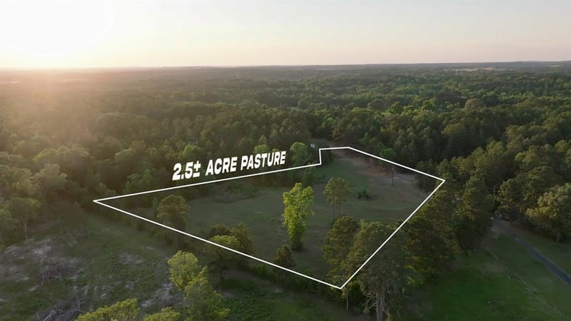 22924 County Road 223, Arp TX 75750 - Photo 15