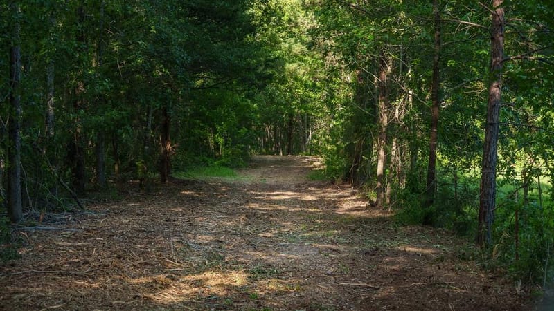 22924 County Road 223, Arp TX 75750 - Photo 8