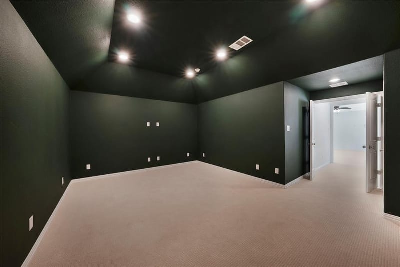 15513 Fringe Tree Road, Frisco TX 75035 - Photo 20