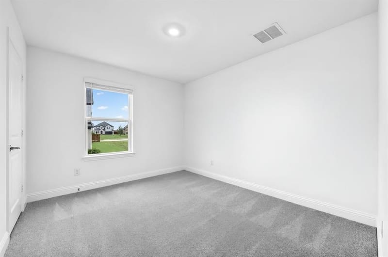 1133 Beebalm Mews, Celina TX 75009 - Photo 19