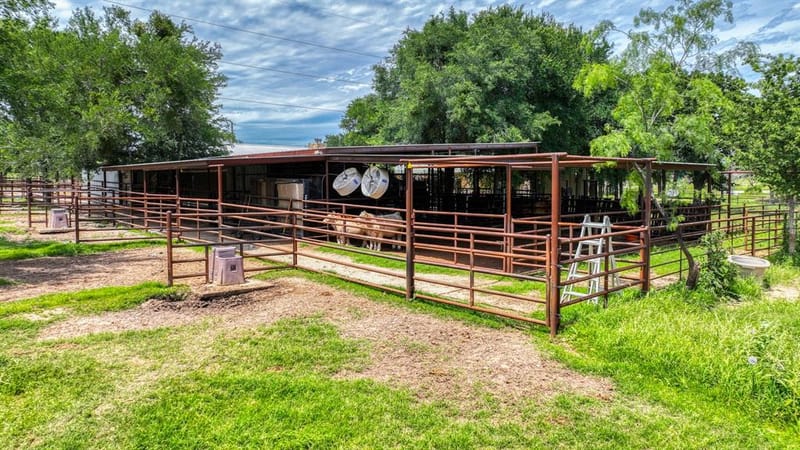 1060 Young Bend Road, Brock TX 76087 - Photo 38