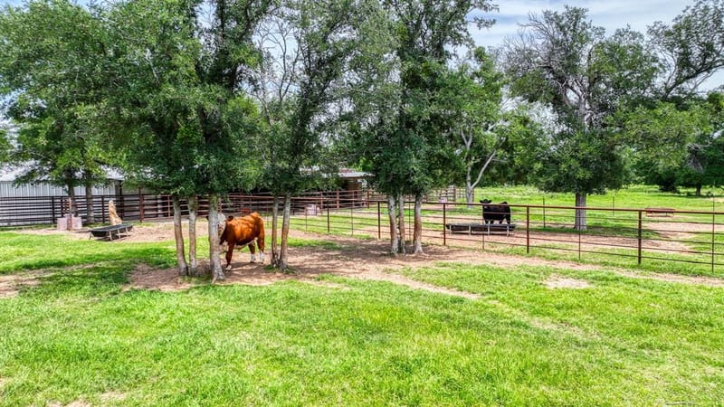 1060 Young Bend Road, Brock TX 76087 - Photo 40