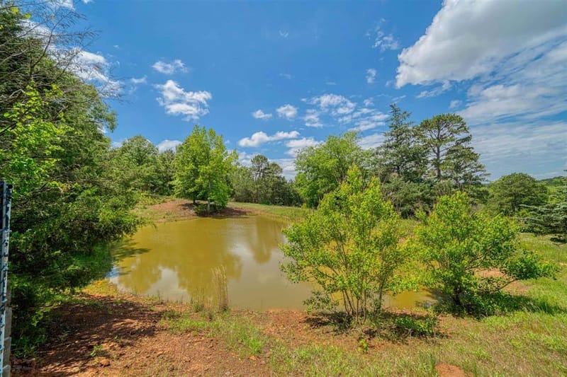 1936 A Silver Maple Road, Big Sandy TX 75755 - Photo 30