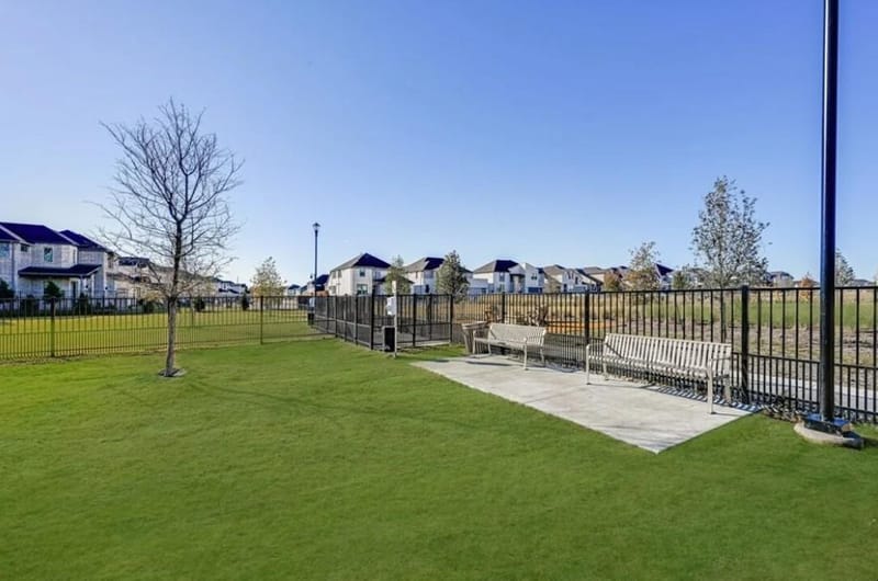 1728 Elderberry Lane, Celina TX 75009 - Photo 22