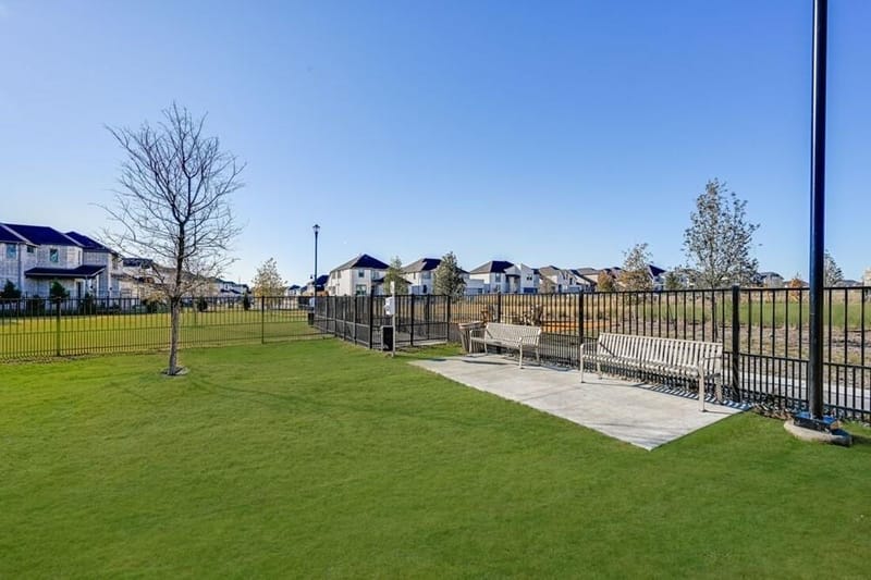 1720 Ambrosia Road, Celina TX 75009 - Photo 25