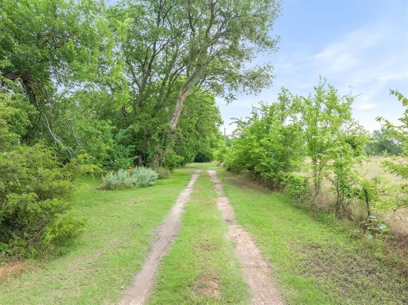 540 Vz County Road 3724, Wills Point TX 75169 - Photo 34